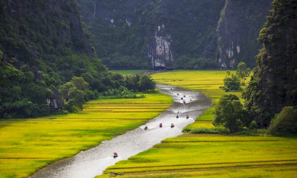 Fields glow golden with ripe rice, and lotus ponds burst into bloom, creating a picture-perfect landscape